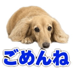 mirai_20260809094609