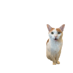 KEN_20260809095656