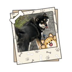 hono_20260809095726