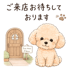 Stickers for Pet Grooming Salons
