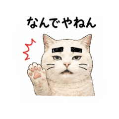 kitsusa4_20260808191020
