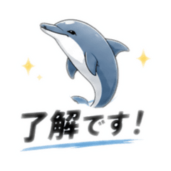 Cool dolphin kun