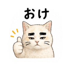 kitsusa4_20260808192422