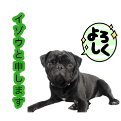 Natsumi_20260808194854