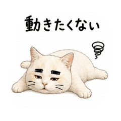 kitsusa4_20260808194959