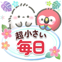 Tiny Tropical Shimaenaga