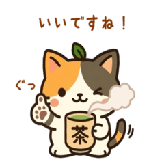 The Daily Life of a Tea-Loving Cat