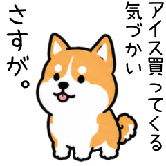 Praise-and-Raise Dog