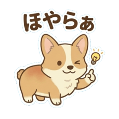 Corgis and the Tono dialect