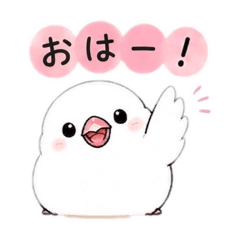 tama_20260808205931