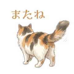 niko_20260808212200