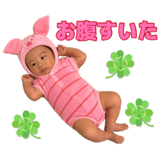 RISA_20260809000114