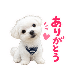 Mayumi_20260809105903