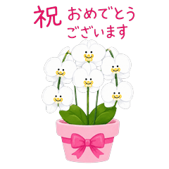 華麗綻放！祝賀花朵特效