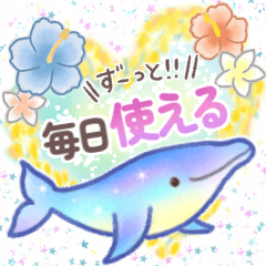 kirakira uminonaka No7