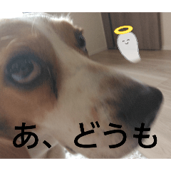 Moyashirita_20260809104432