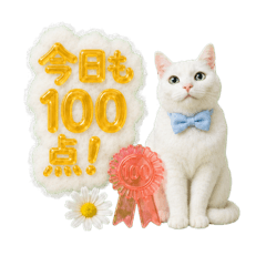 White Cat Chiro: Positive