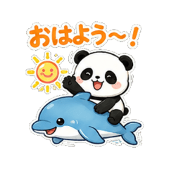 Panda Dolphin Daily