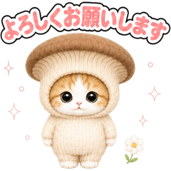 飛び出す♪きぐるみ猫 (きのこ)