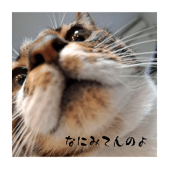 yuko_20260809002719