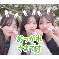 kuma_20260809122709