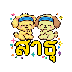 potae_20260810091129