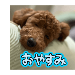 AriNoriko_20260809143816