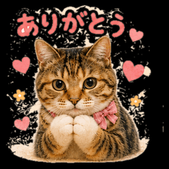 Ria the Calico Cat