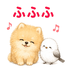 悠閒日常博美犬與銀喉長尾山雀