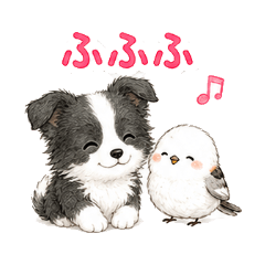 悠閒日常邊境牧羊犬與銀喉長尾山雀