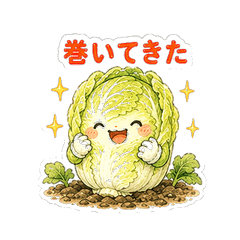 Napa Cabbage Harvest Garden Stickers
