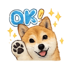 YUKI_20260809154022