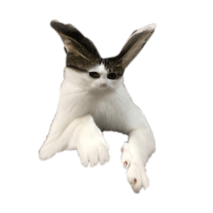 m_20260809155107