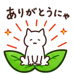 Halo Nyanko
