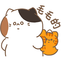 小三花看家中Sanfa cat-毛毛的貓