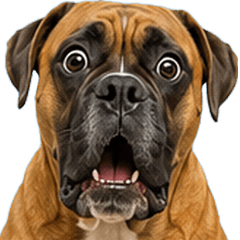 Boxer dog Sticker