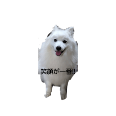 free crud_20260809110407