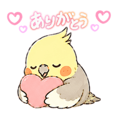 miochi_20260809112029