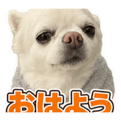 M_20260809150142