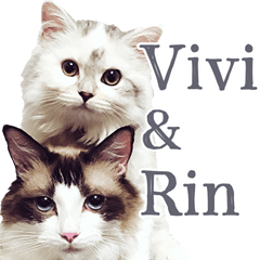 Rin and Vivi's daily sticker