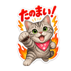 LATTE_20260809160055