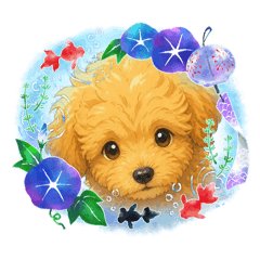 AssK_20260809153143