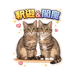 kuma_20260809160944