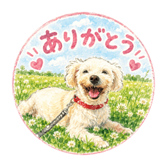 hana_20260809161643