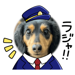 sayuri_20260809162003