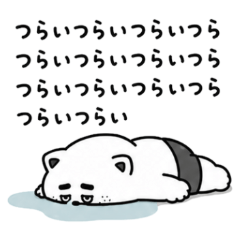 네거티브 끝판왕 고양이