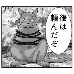 Real comic cat 2