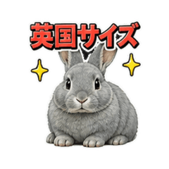 British Giant_British Great Rabbit FUQ