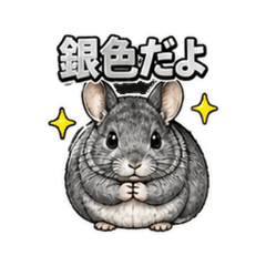 美國龍貓_銀兔 V5S