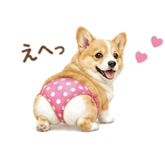 RIN_20260809162926
